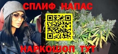 дмт Будённовск