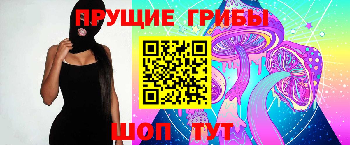 Псилоцибиновые грибы GOLDEN TEACHER  Вход с VPN  Муром  Псилоцибиновые грибы Psilocybe 
